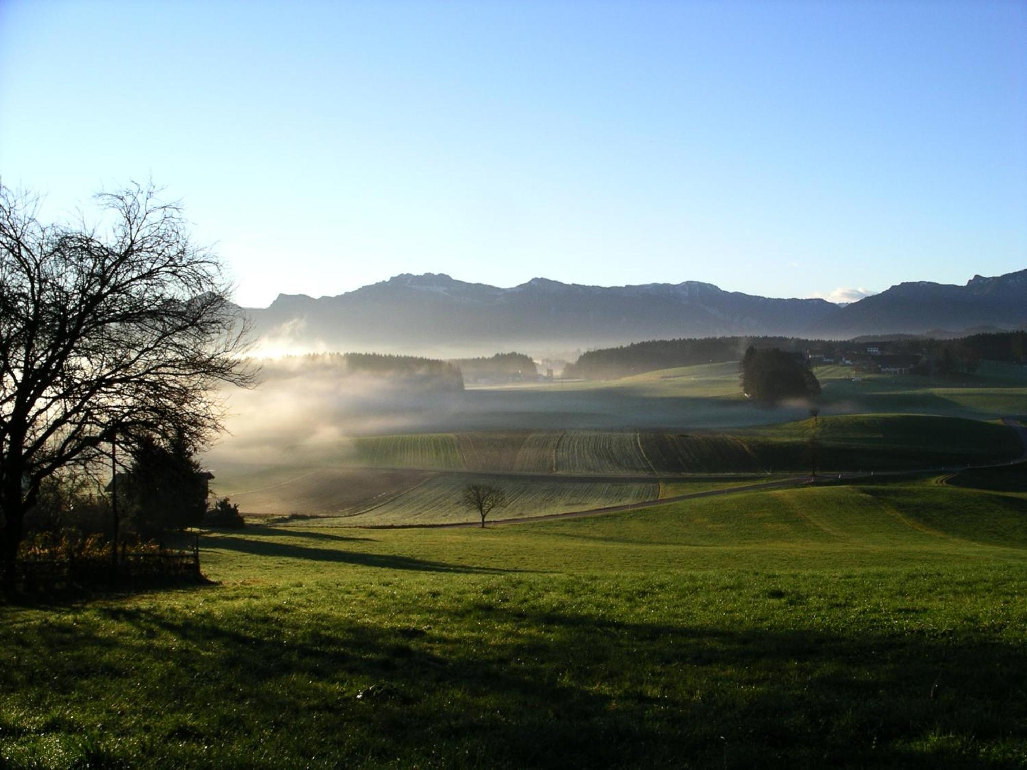 Ferienwohnungen Maderhof リムシュティング エクステリア 写真